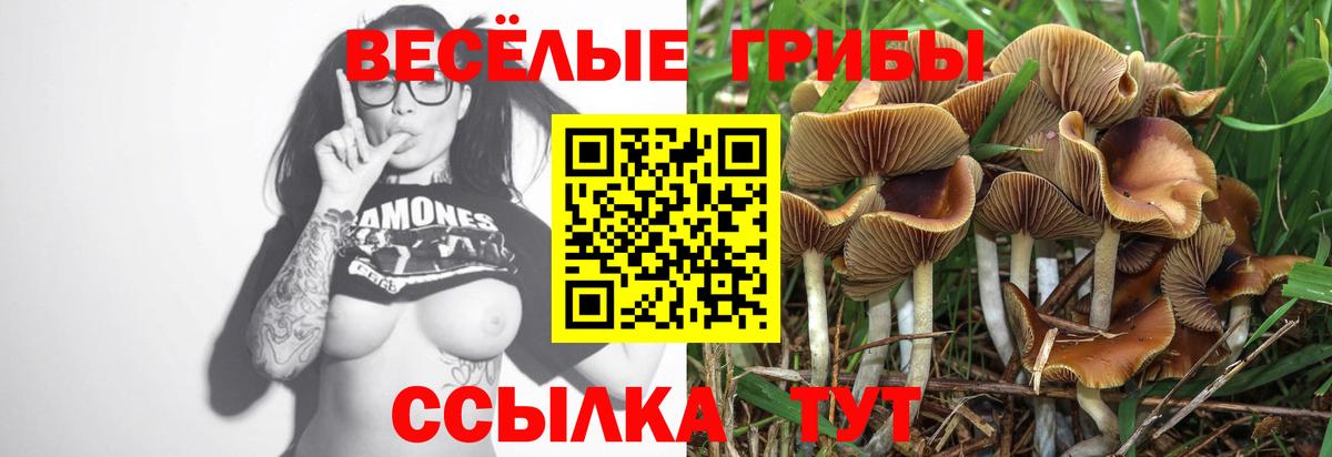 Псилоцибиновые грибы прущие грибы Строитель
